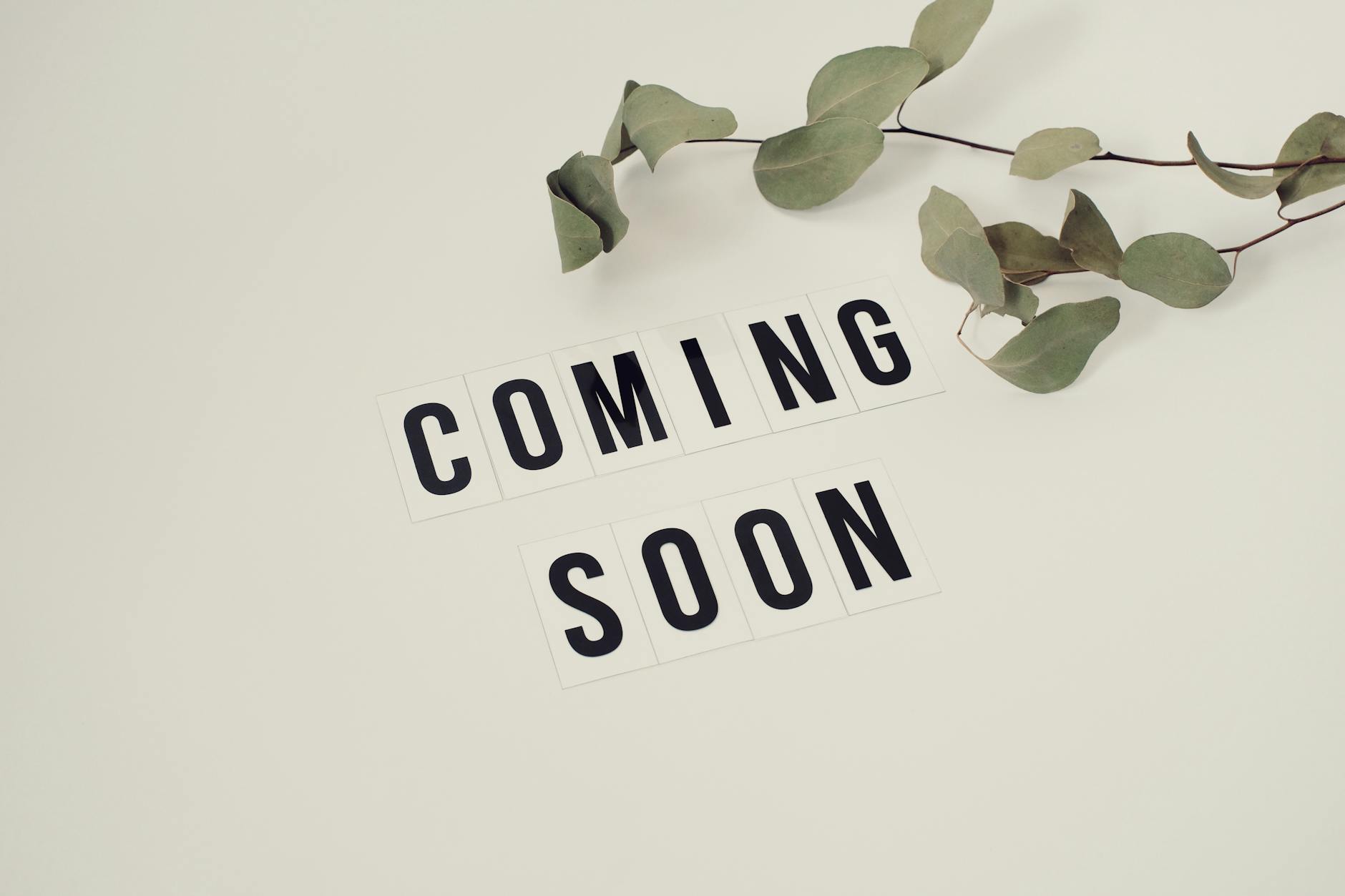 https://www.pexels.com/@vie-studio